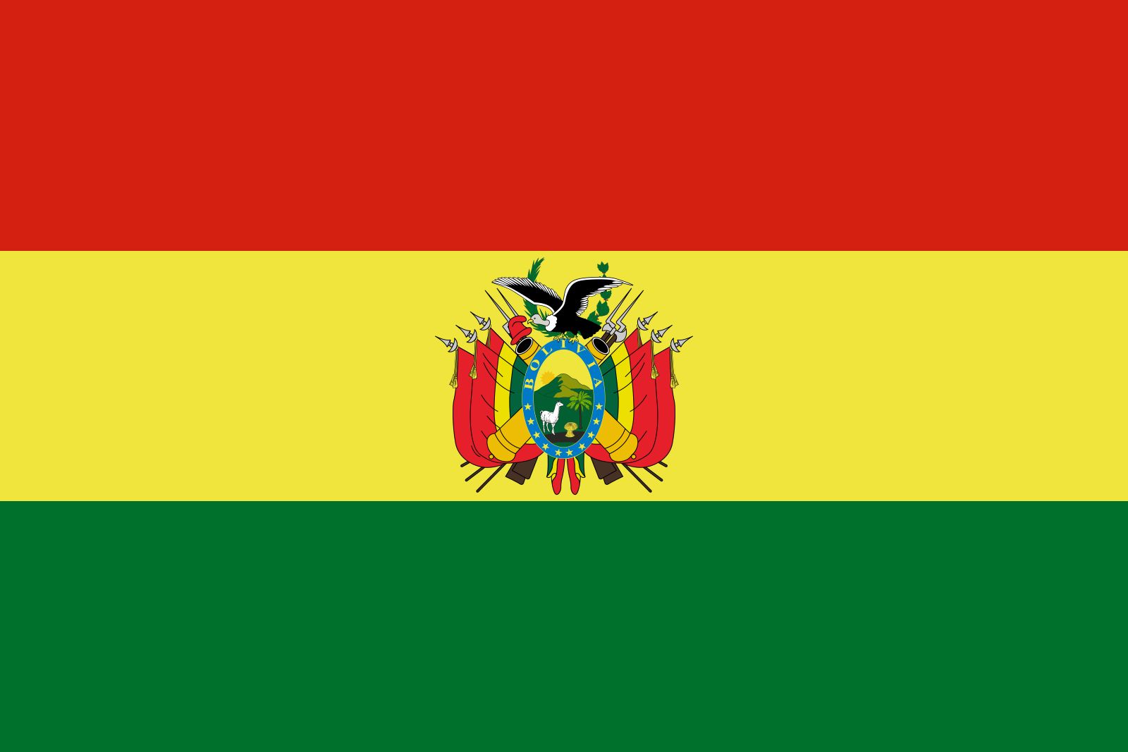 Bolivia Presidential Election card icon